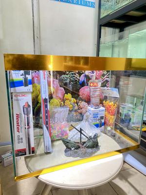 Modern Aquarium With Easy Maintenance Guy - thumbnail 2