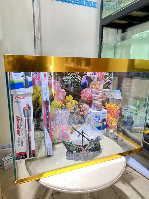 Modern Aquarium With Easy Maintenance Guy - main view