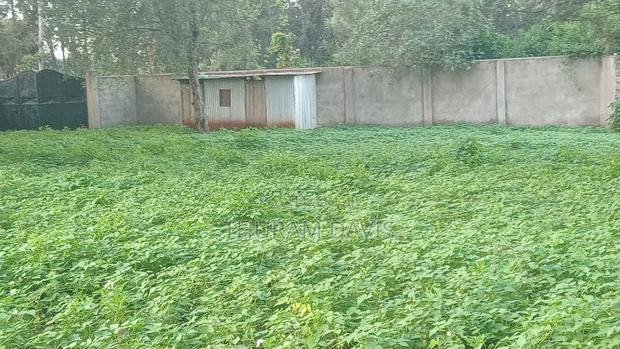 1/2 Acre Kithoka