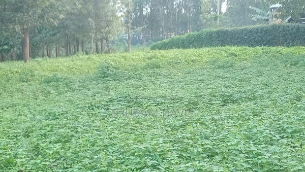1/2 Acre Kithoka - thumbnail 2