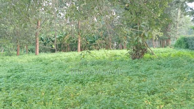 1/2 Acre Kithoka - thumbnail 3