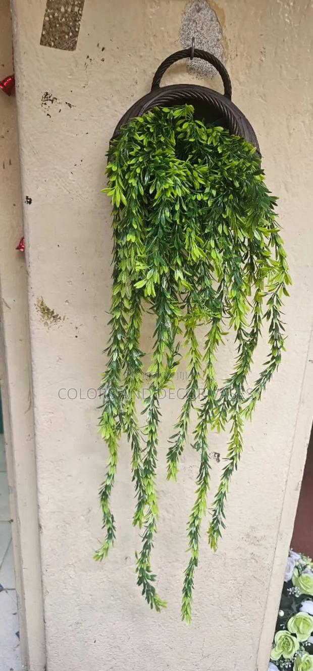 Vines and Vase Variety of Colours