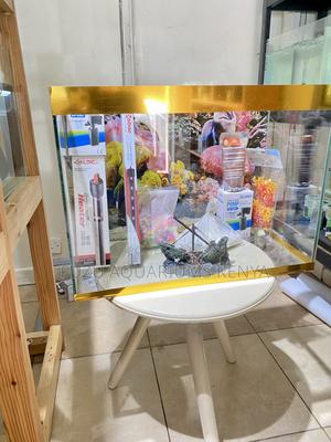 Aquarium That Elevates Your Interior Aesthetic - thumbnail 2