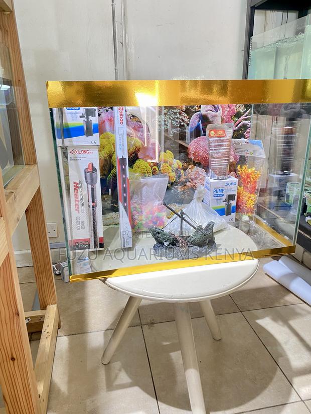 Aquarium That Elevates Your Interior Aesthetic - main view