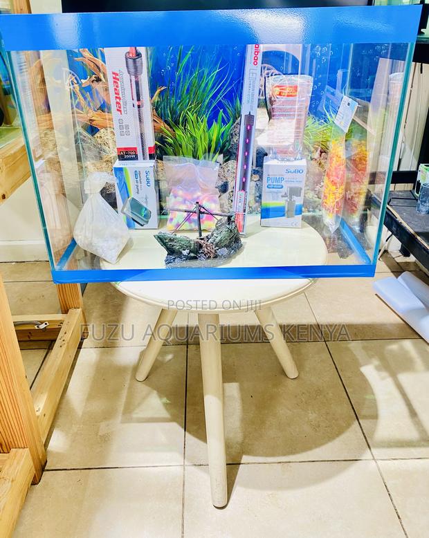 Bring the Ocean Home – 2ft Aquarium - main view