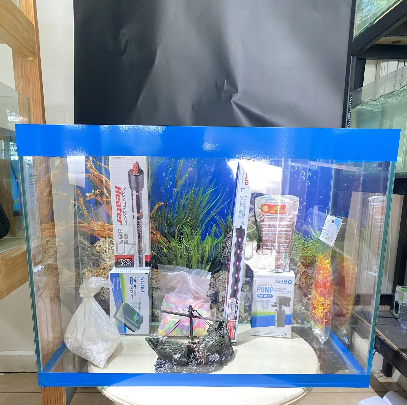 Mesmerizing Aquarium Display for Relaxation