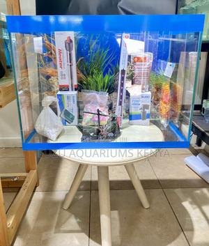 High-Quality Aquarium for Fish Enthusiasts - thumbnail 2