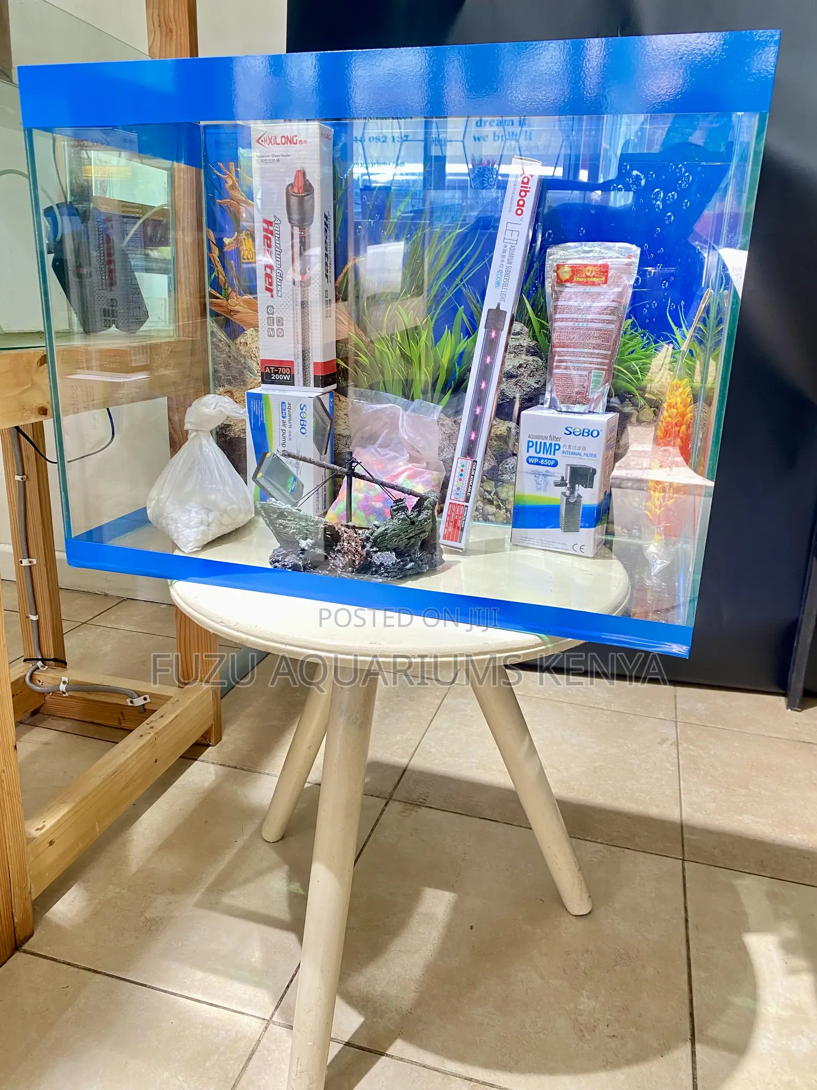 Complete 60l Aquarium Setup – Start Today