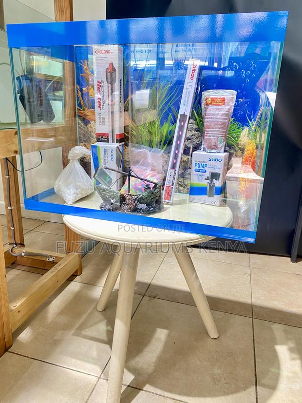 Complete 60l Aquarium Setup – Start Today - main view