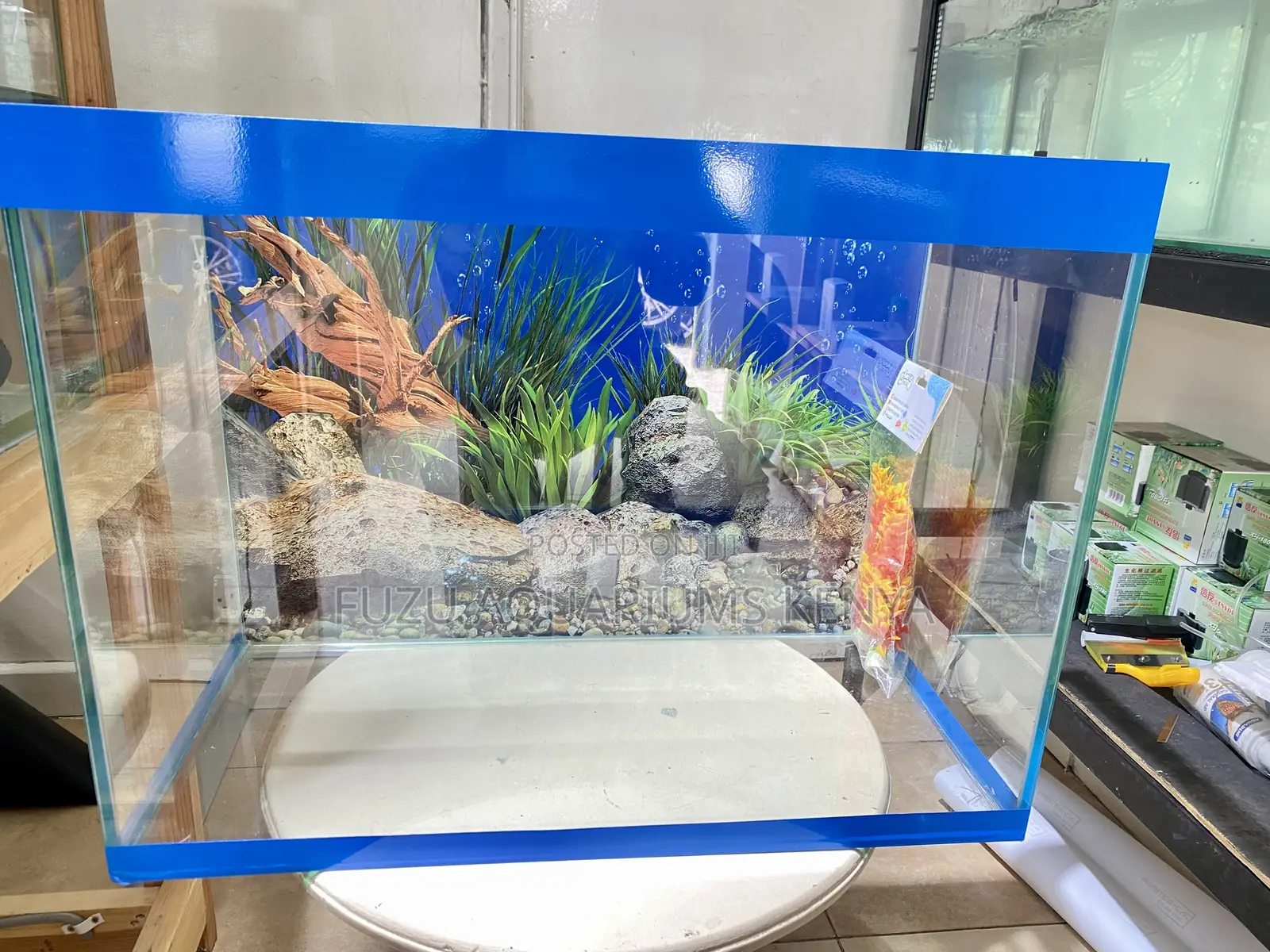 Add Zen to Your Space With Our Aquarium