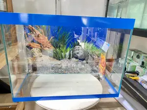 Add Zen to Your Space With Our Aquarium