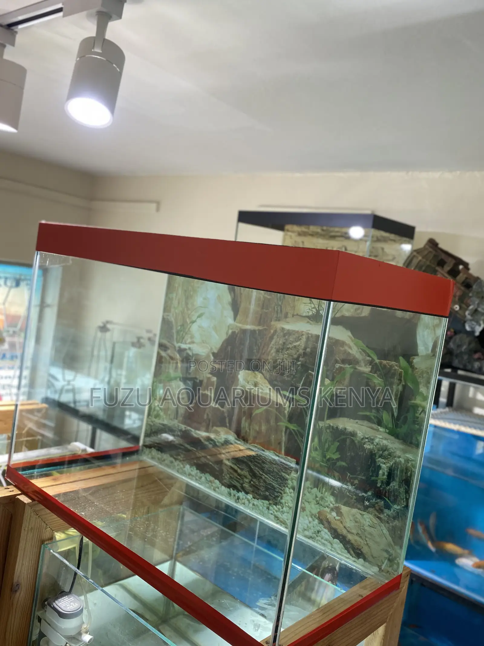 Aquarium With Heater, Filter Led Light