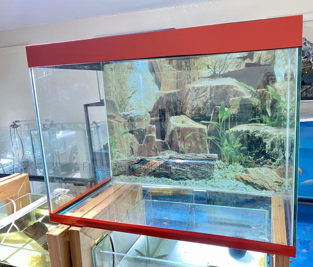 2 Feet Aquarium for a Mini Aquatic World
