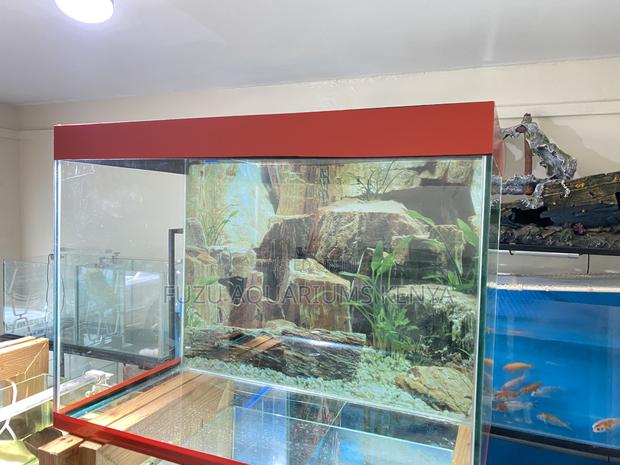 Affordable Luxury – Nairobi Aquarium Set - main view