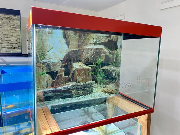 Impressive Aquarium That Wows Visitors - main view