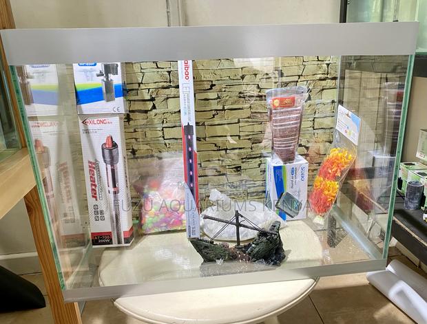 Full Aquarium Kit – Everything Included - main view