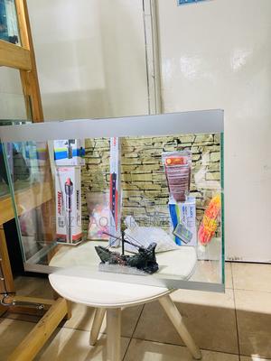 Aquarium Decor That Brings Nature Inside - thumbnail 2