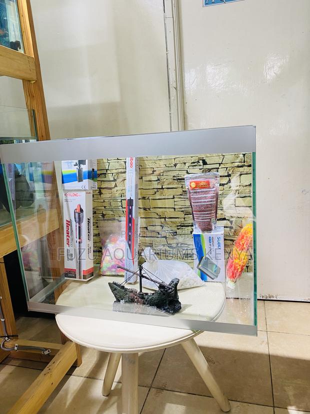 Aquarium Decor That Brings Nature Inside - main view