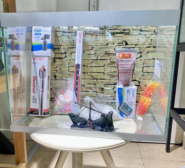 Step Into Peace With a Flowing Aquarium - main view