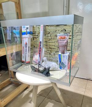 Nairobi’S Coolest Aquarium Set - thumbnail 2