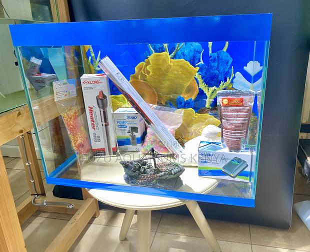 Professional Aquarium Look for Beginners - main view