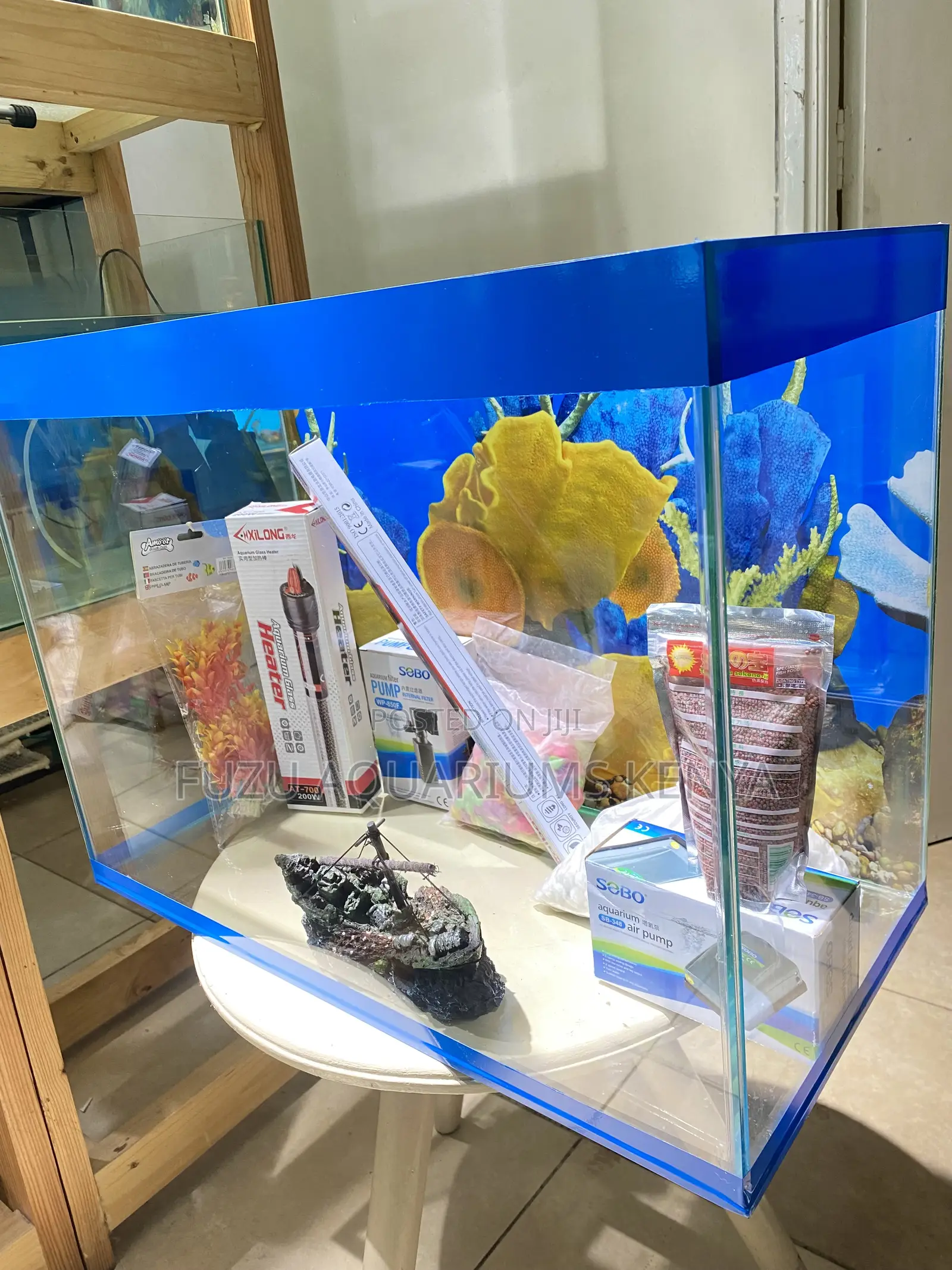 Bright Aquarium With Neon Light Strip