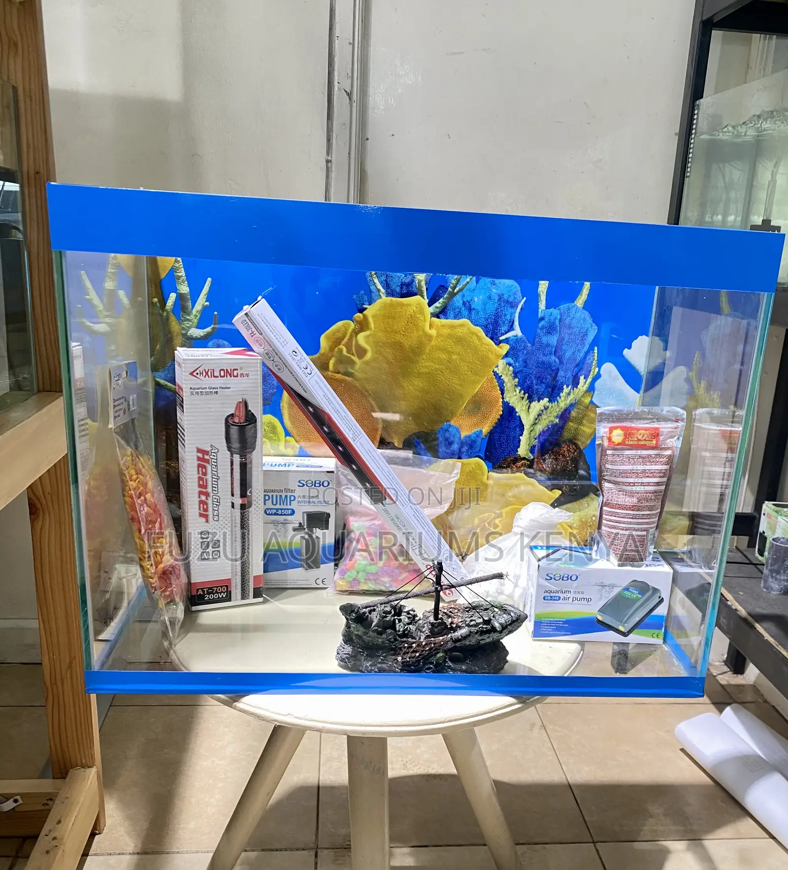 Vibrant Aquarium Set With Natural Vibe