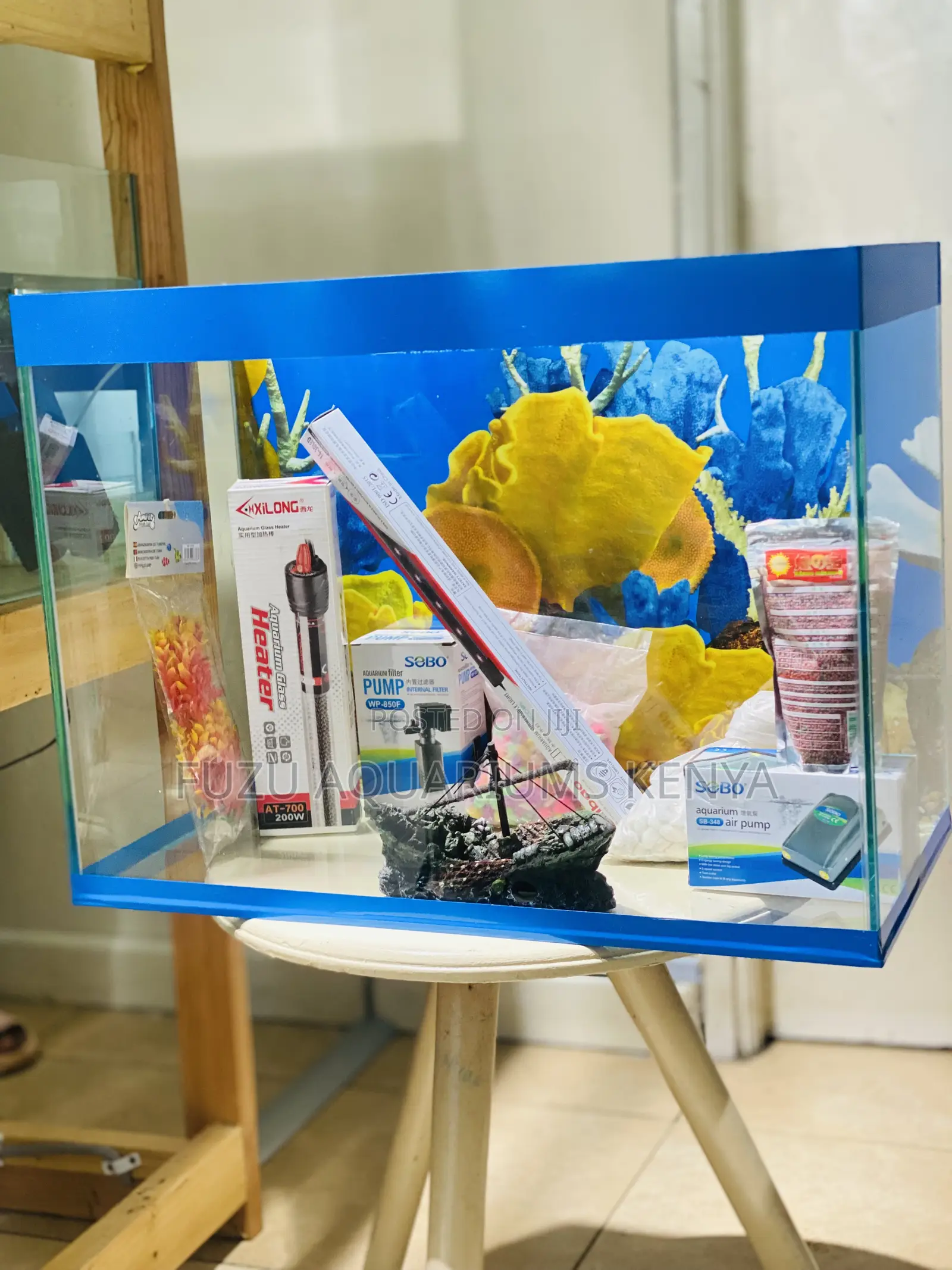 Turn Any Room Into Paradise With an Aquarium