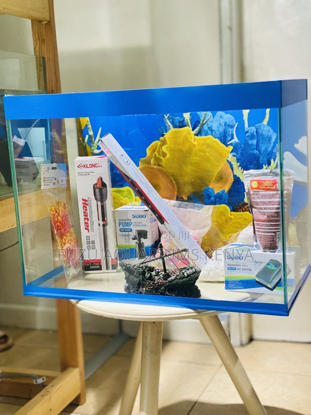 Turn Any Room Into Paradise With an Aquarium - main view