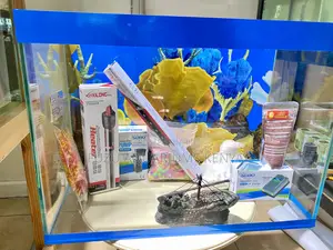 60 Litres Aquarium That Speaks Sophistication