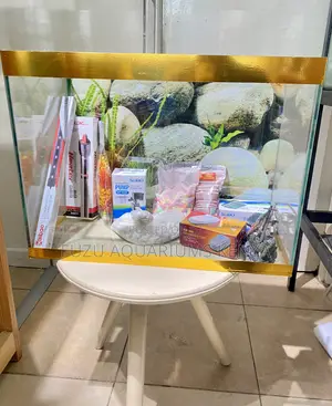 Starter Aquarium Set – Easy Beautiful
