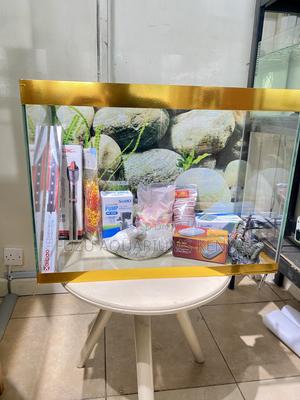 Nairobi Aquarium With Fast Delivery - thumbnail 2