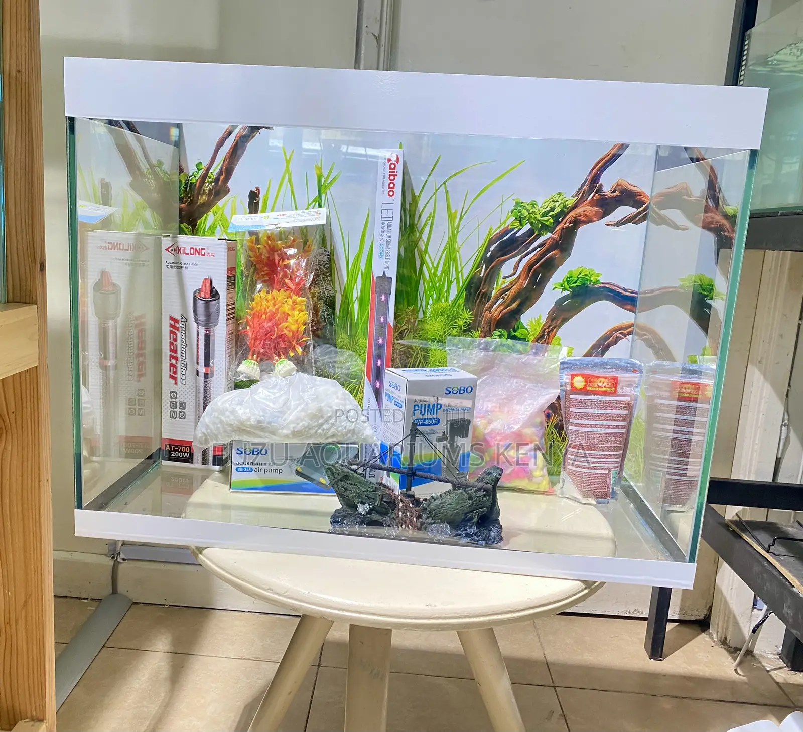 Bold Aquarium Design – A True Centerpiece