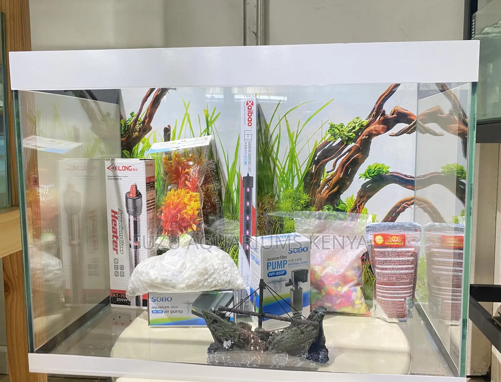 Aquarium That’S Built for Calm and Comfort