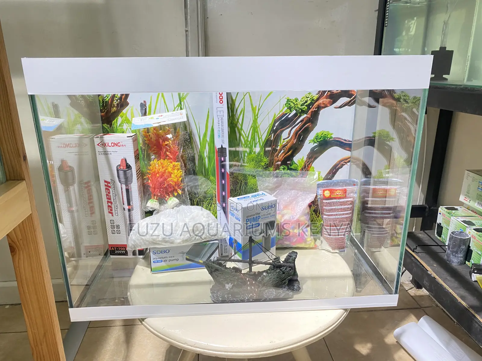 Adorable Aquarium Set for Small Spaces