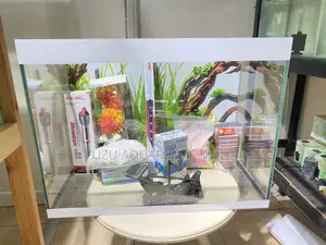 Adorable Aquarium Set for Small Spaces