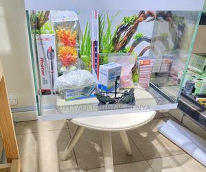 60l Aquarium With Perfect Filtration System - thumbnail 2