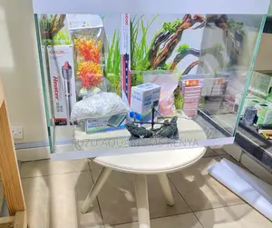 60l Aquarium With Perfect Filtration System