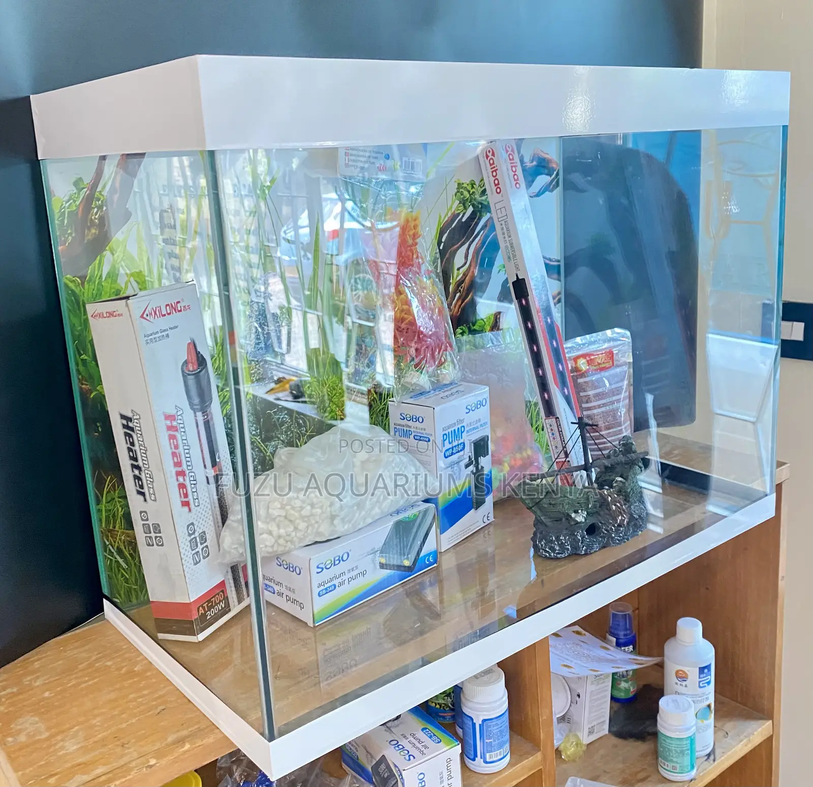 Lux Aquarium Package With All You Need