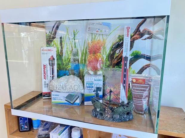 2ft Aquarium Bundle – Just Add Water - main view