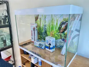 Simple Yet Stunning Aquarium for All Homes