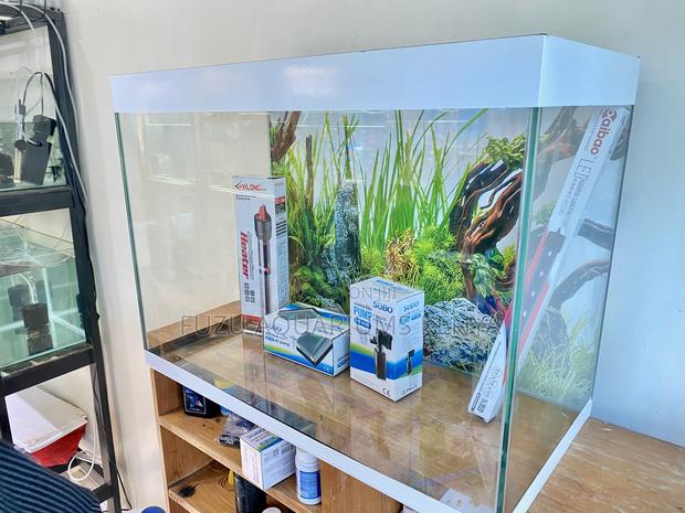 Simple Yet Stunning Aquarium for All Homes