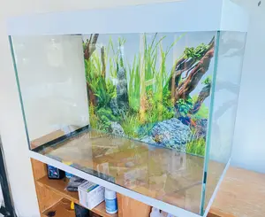 Full Aquarium Experience – Delivered to You