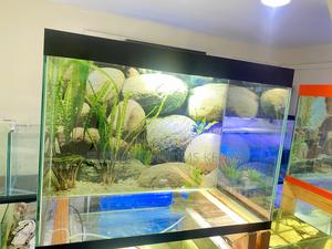 Glass Aquarium With Led Glow Lighting - thumbnail 2