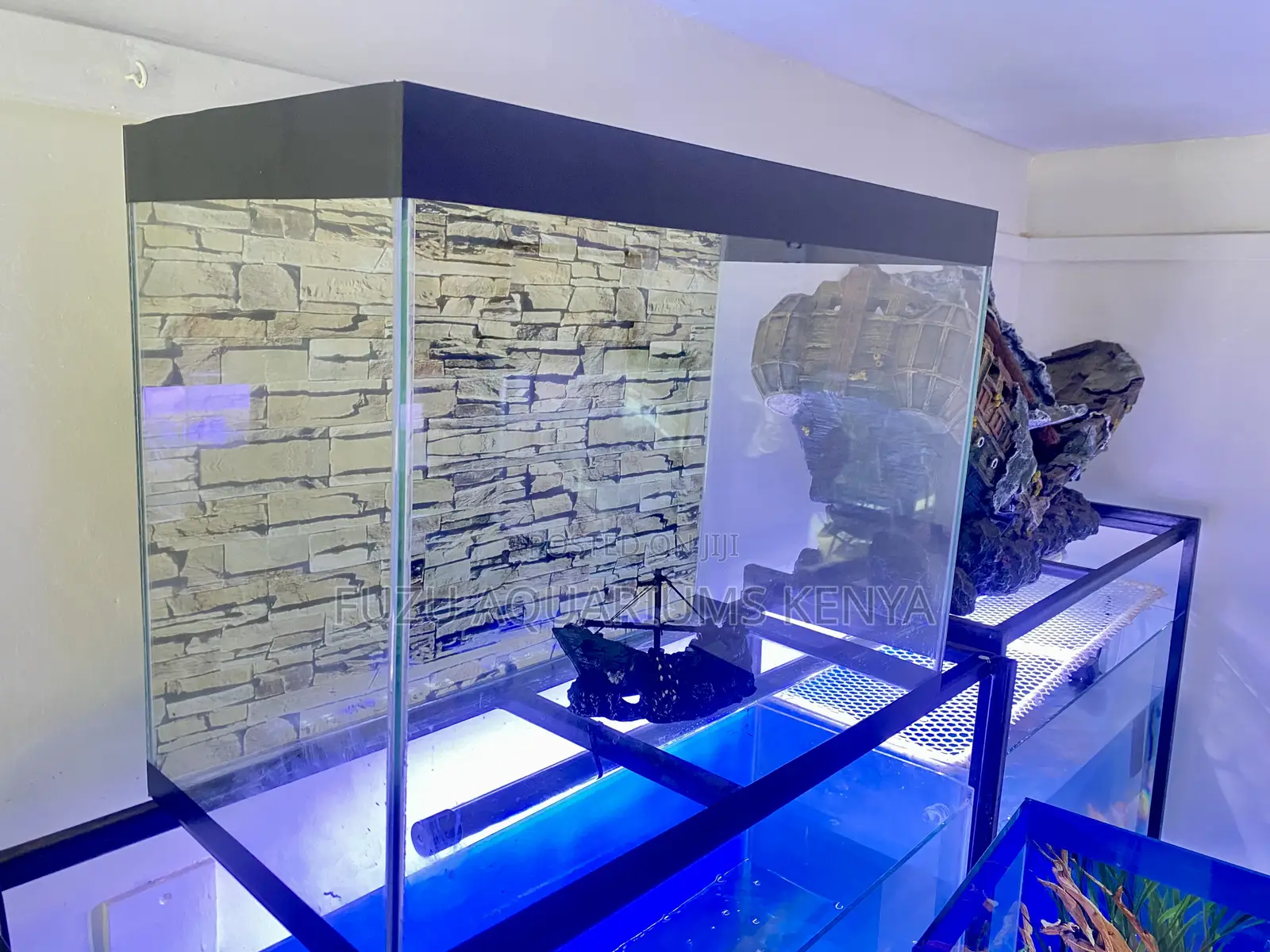 Bold 60l Aquarium for Your Aquatic Passion