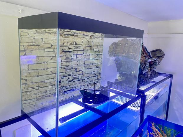 Bold 60l Aquarium for Your Aquatic Passion - main view