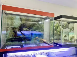 Nature-Inspired Aquarium With Aquascape Decor