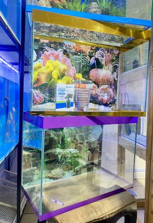 Minimalist Aquarium With All Essentials - thumbnail 2