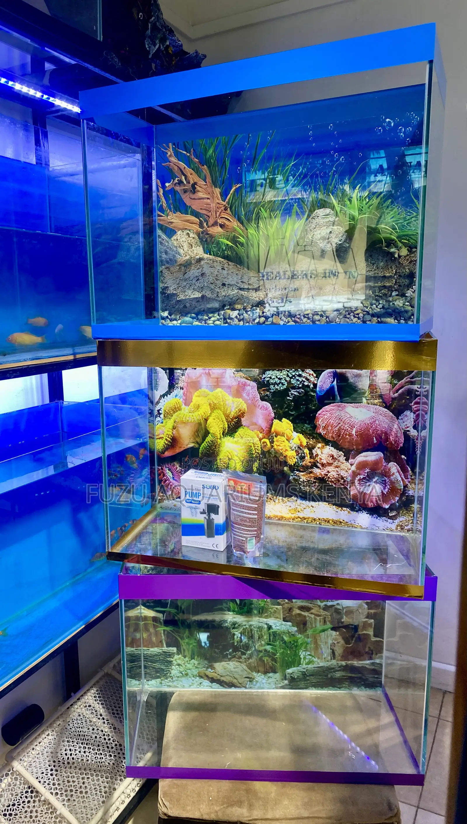 Aquarium Package That Brings Joy Daily