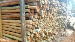 Treated Fencing Poles 8ft/9ft